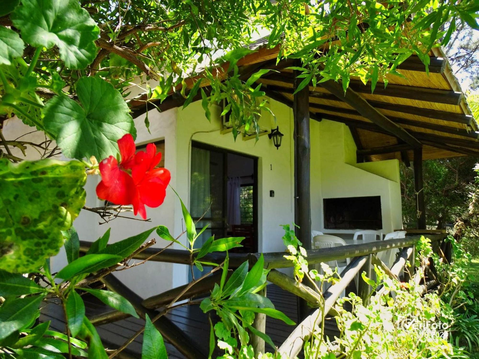 Bungalows Punta Colorada Piriapolis Bagian luar foto